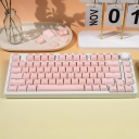 MDA Profile 104+32 ABS Doubleshot Crystal Backlit Keycaps Set for Keyboard Blue / Pink / White